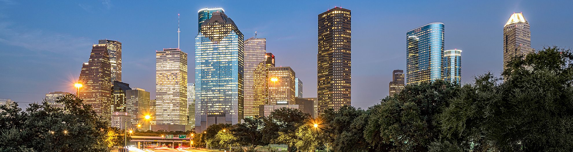 Houston Night Skyline